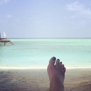 Savannah Guthrie feet photo thumbnail