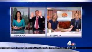 Savannah Guthrie feet photo thumbnail