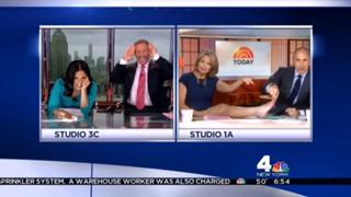 Savannah Guthrie feet photo thumbnail