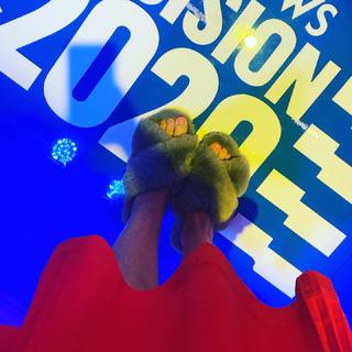 Savannah Guthrie feet photo thumbnail