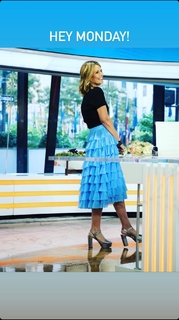 Savannah Guthrie feet photo thumbnail