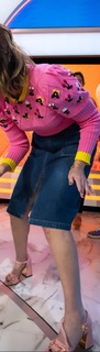 Savannah Guthrie feet photo thumbnail