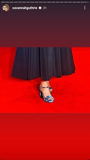 Savannah Guthrie feet photo thumbnail
