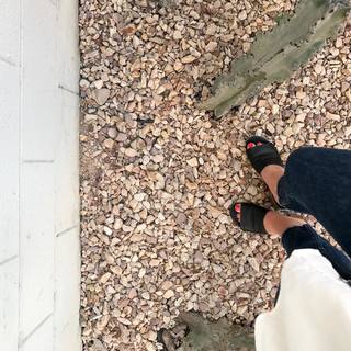 Savannah Jayde feet photo 9