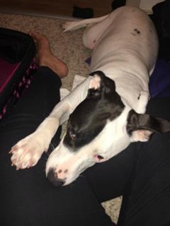 Savelina Fanene feet photo thumbnail