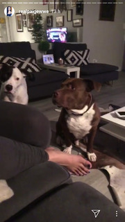 Savelina Fanene feet photo thumbnail