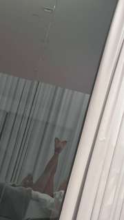 Saweetie feet photo thumbnail