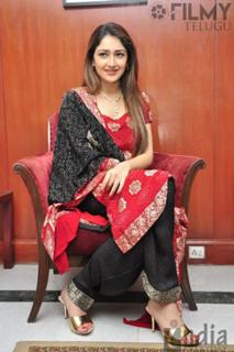 Sayyeshaa Saigal feet photo 7