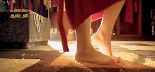 Sayyeshaa Saigal feet photo 10