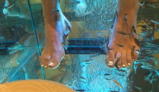 Scarlett Leithold feet photo 14