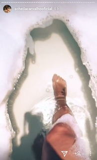 Scheila Carvalho feet photo 10
