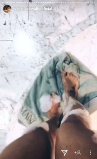 Scheila Carvalho feet photo 9