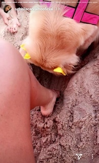 Scheila Carvalho feet photo 1