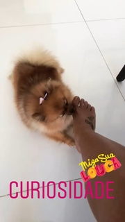 Scheila Carvalho feet photo 1