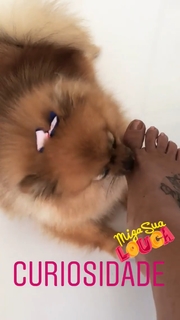 Scheila Carvalho feet photo 20