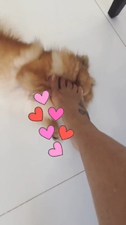 Scheila Carvalho feet photo 19