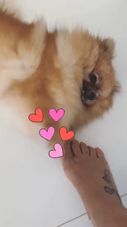 Scheila Carvalho feet photo 18