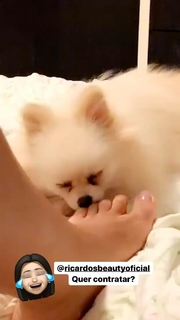 Scheila Carvalho feet photo 17