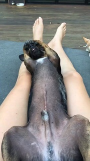 Scout Willis feet photo 15