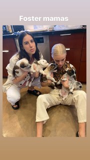 Scout Willis feet photo 12
