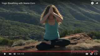 Seane Corn feet photo 11