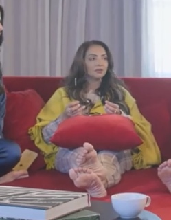 Seema Sajdeh feet photo 10