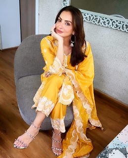 Seema Sajdeh feet photo 7