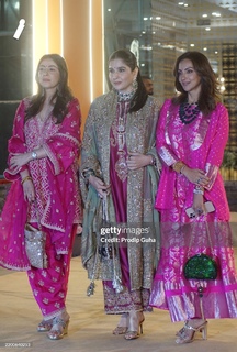 Seema Sajdeh feet photo 16