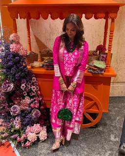 Seema Sajdeh feet photo 14
