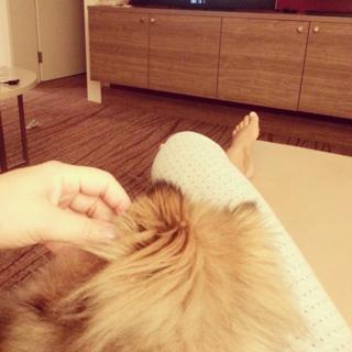 Seka Aleksic feet photo thumbnail