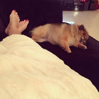 Seka Aleksic feet photo thumbnail