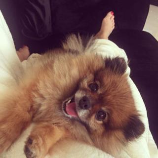 Seka Aleksic feet photo thumbnail