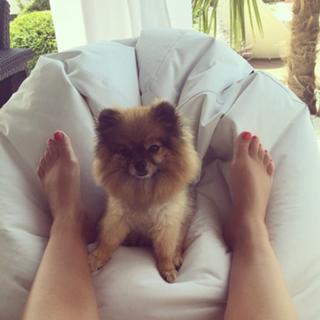 Seka Aleksic feet photo thumbnail
