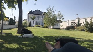 Seka Aleksic feet photo thumbnail