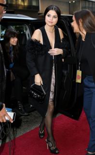Selena Gomez feet photo thumbnail