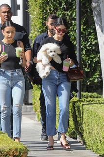 Selena Gomez feet photo thumbnail