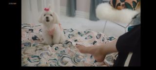 Seo Hyeon-jin feet photo 11