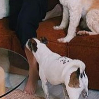 Seray Kaya feet photo 14