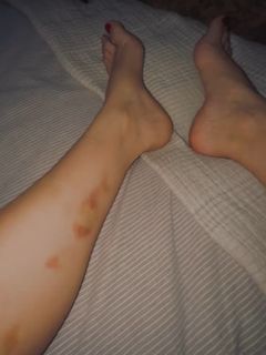 Seray Kaya feet photo 4