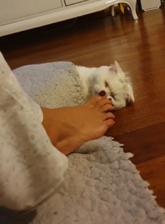 Seray Sever feet photo 3
