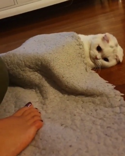 Seray Sever feet photo 2