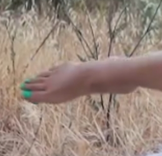 Serenay Sarikaya feet photo thumbnail