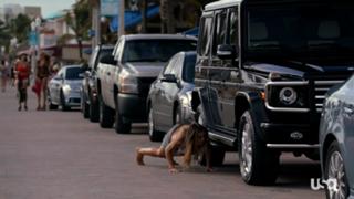 Serinda Swan feet photo thumbnail