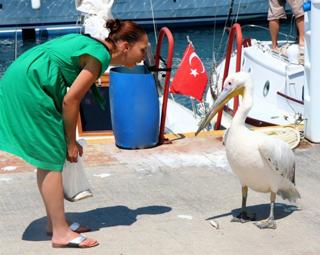 Sertab Erener feet photo 2