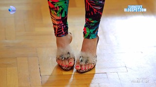 Sevda Erginci feet photo 8