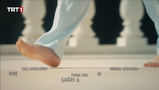 Sevda Erginci feet photo 14