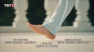 Sevda Erginci feet photo 13