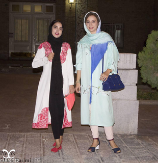 Shabnam Gholikhani feet photo 17