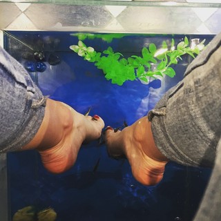 Shaila Gatta feet photo thumbnail