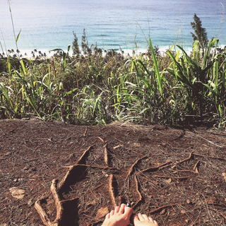 Shailene Woodley feet photo thumbnail